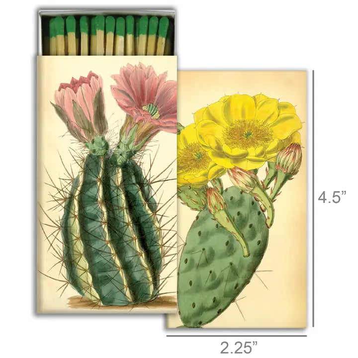 Matches - Flowering Cacti