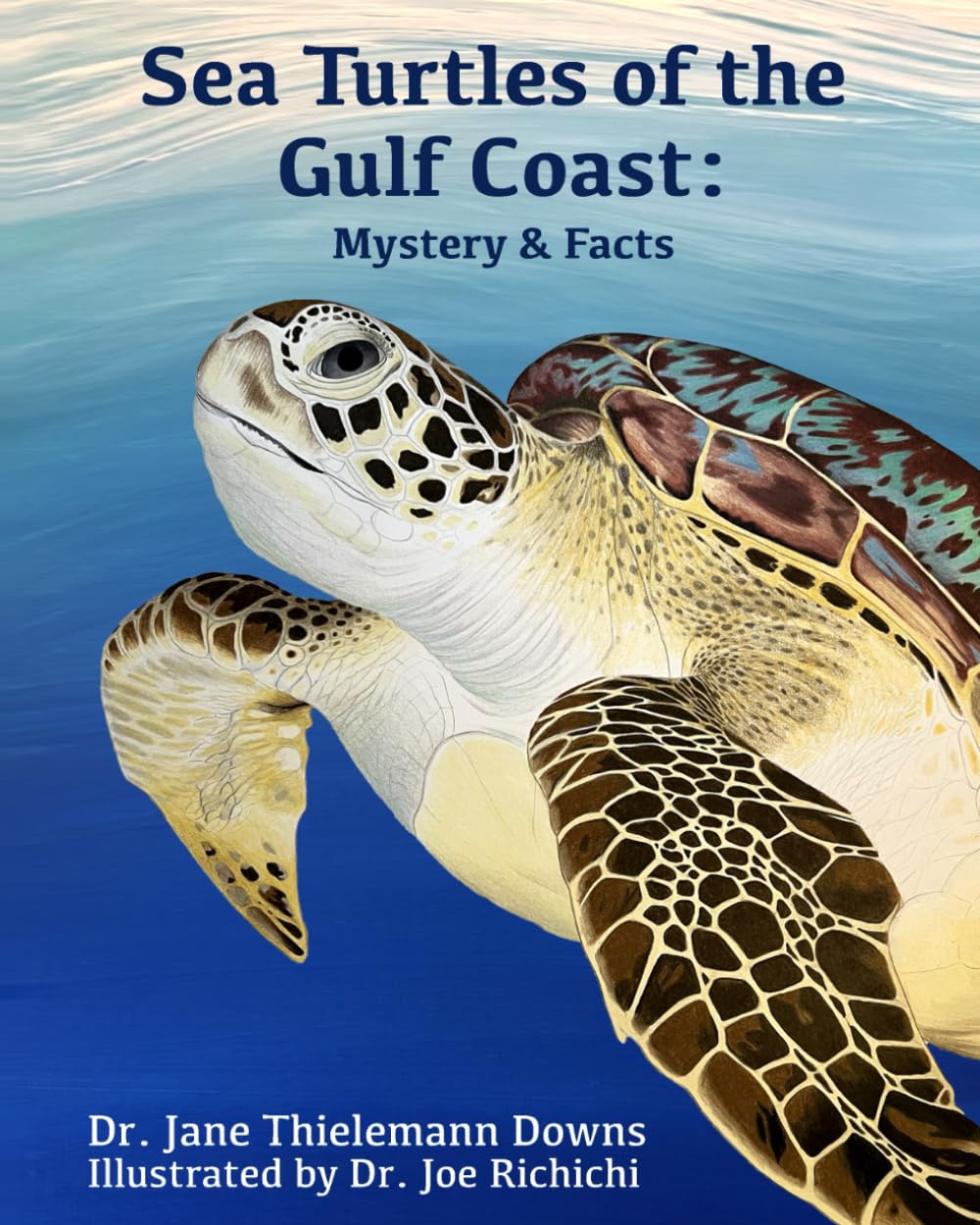 Sea Turtles of the Gulf Coast