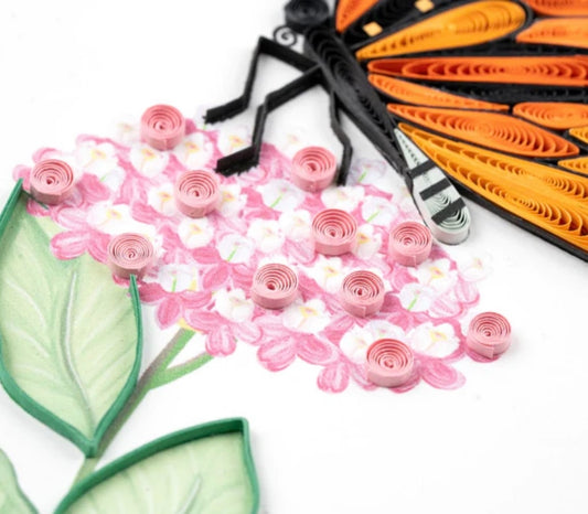 Monarch Milkweed Butterfly