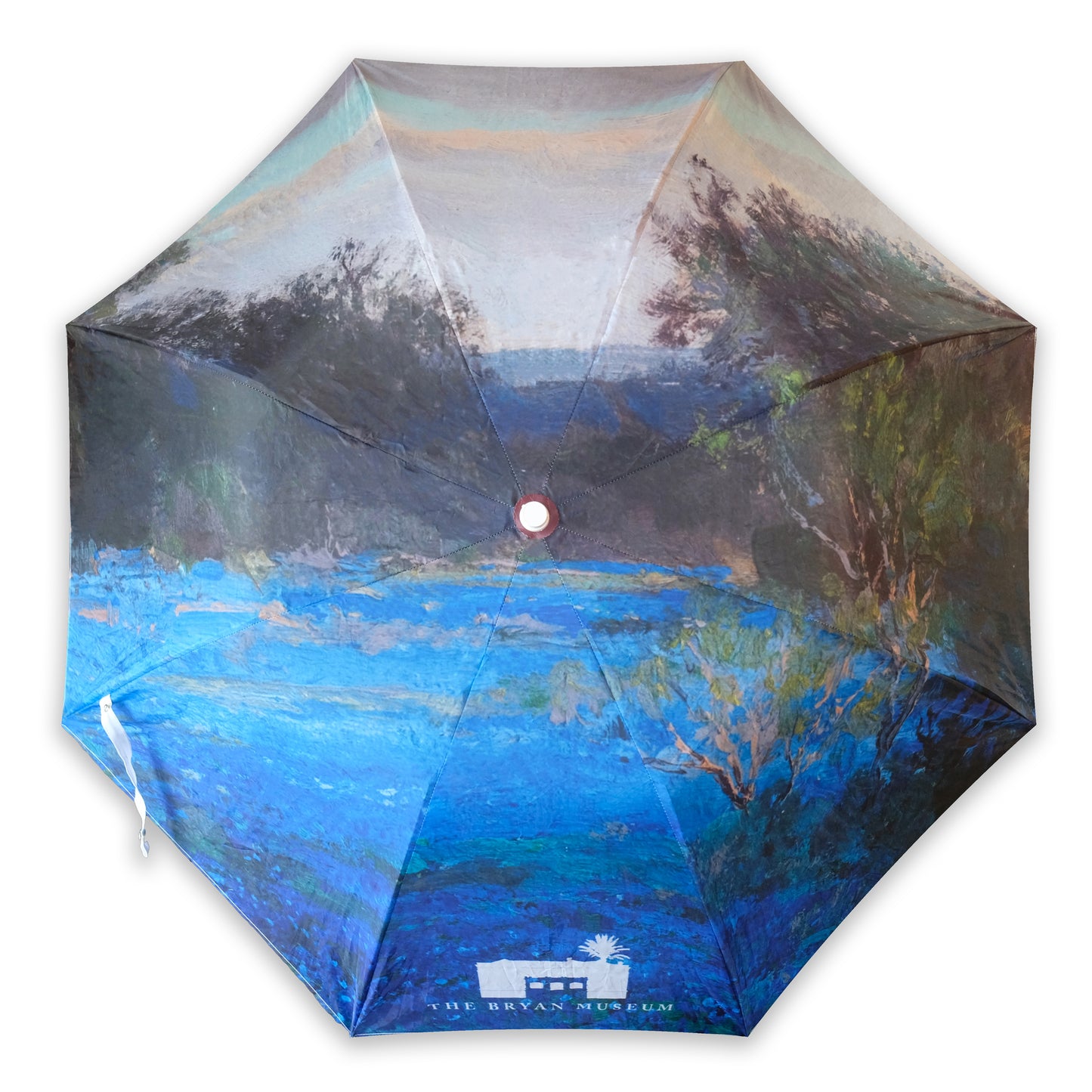 Bluebonnets Art Umbrella