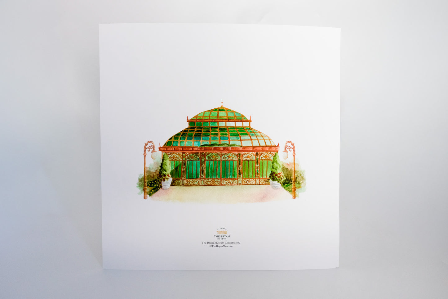 The Bryan Museum Conservatory Print 12" x 12"