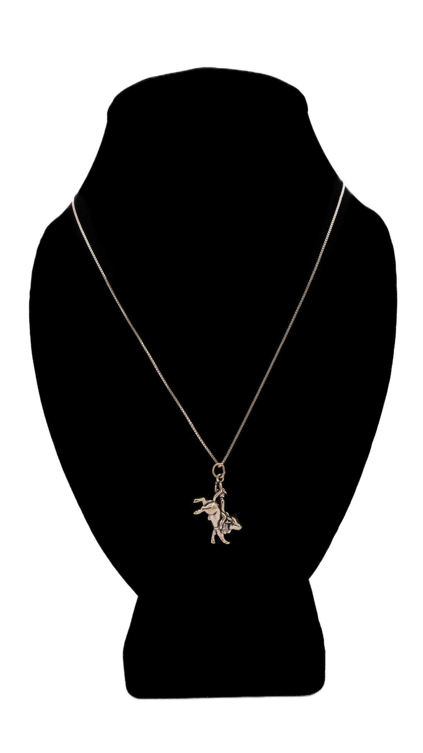 Bull Rider Charm Necklace