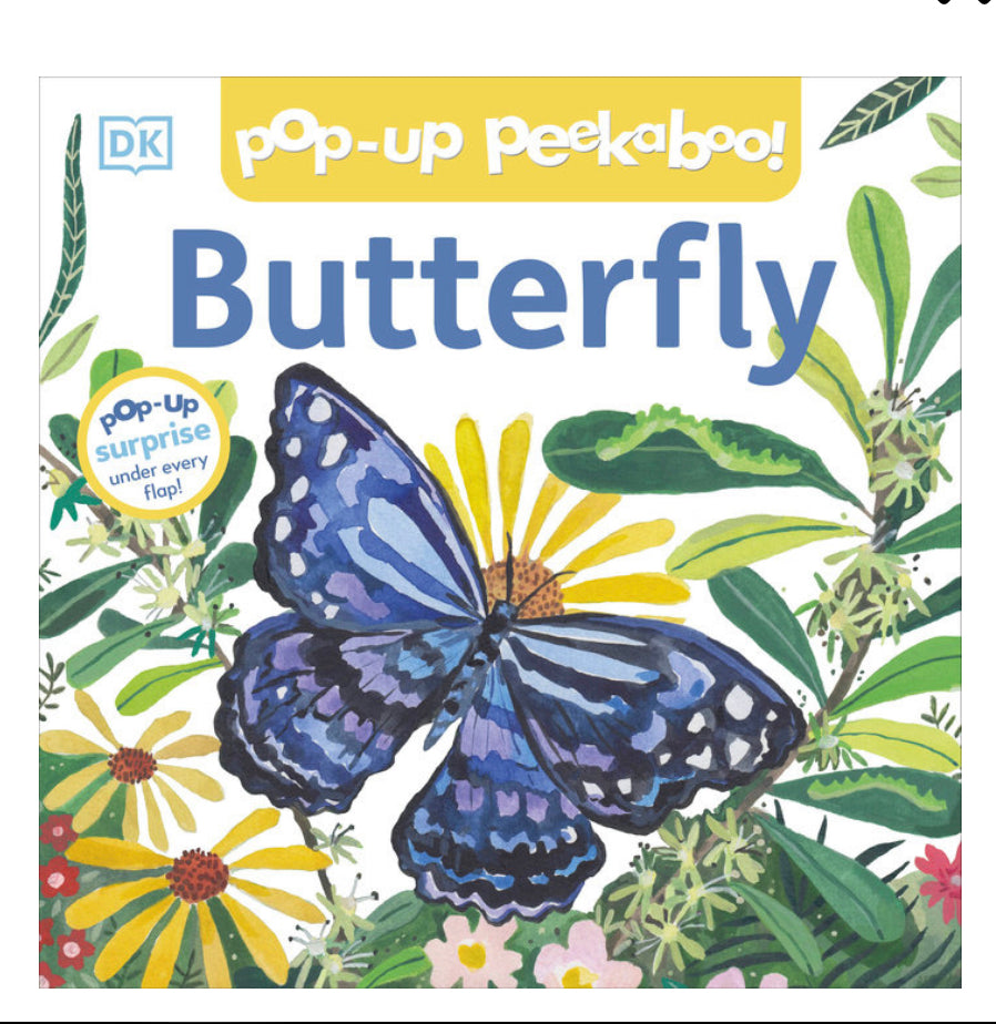 Pop-up Peekaboo Butterfly