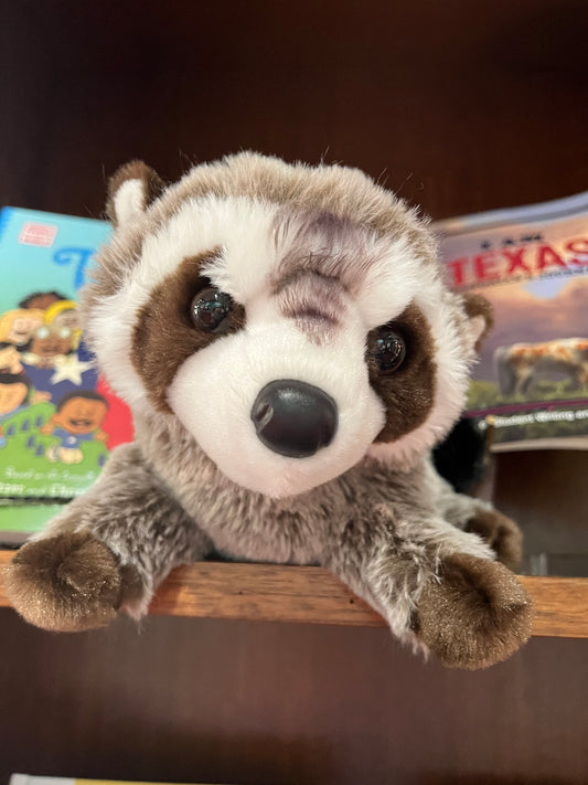 Ringo Raccoon