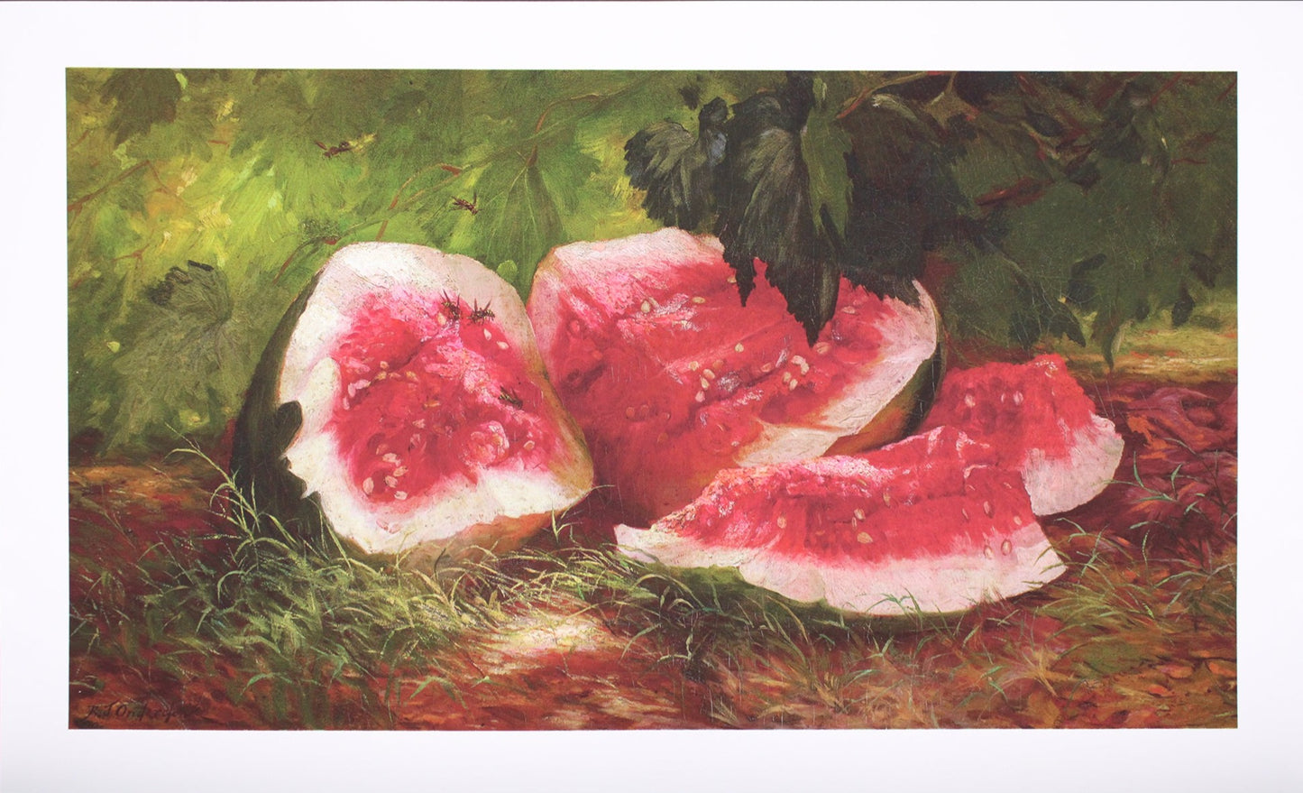 Watermelon and Yellowjackets by Robert Onderdonk - Print