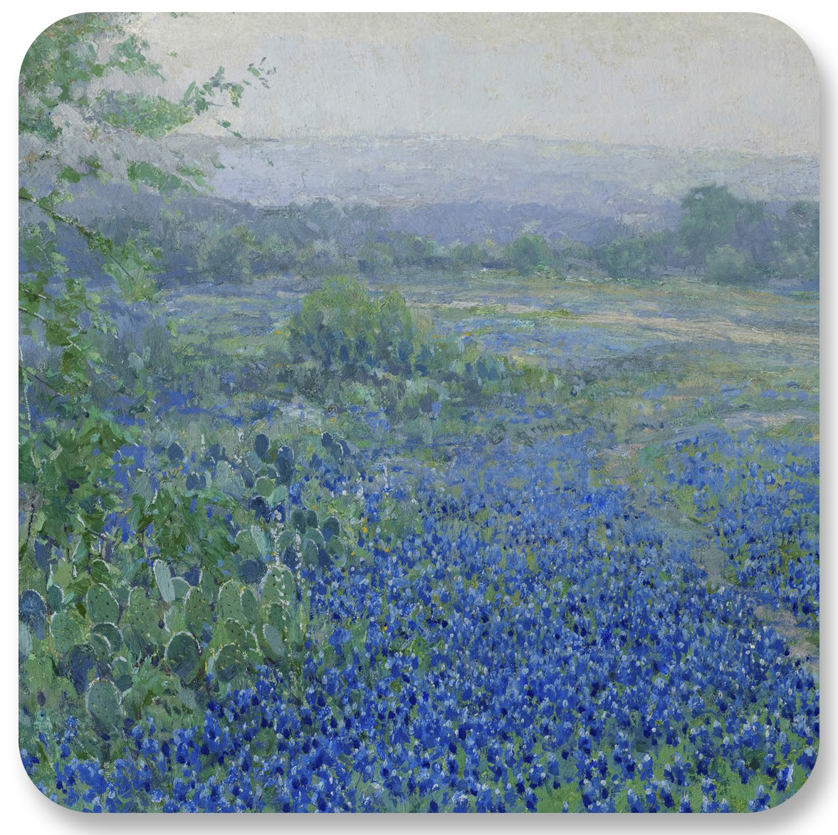 Onderdonk Bluebonnets Coaster