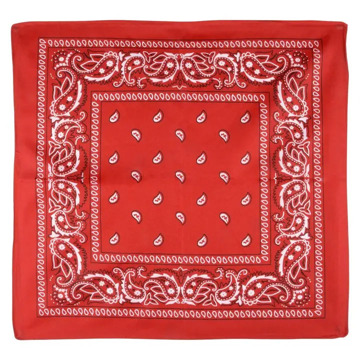 Kids Bandana Assortment 19"