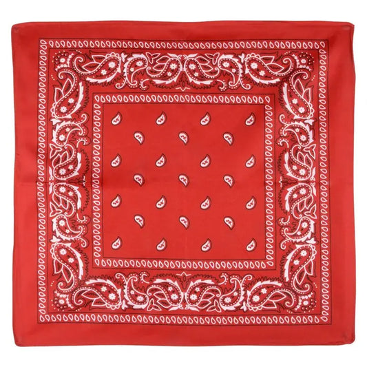 Kids Bandana Assortment 19"